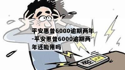 平安惠普6000逾期两年-平安惠普6000逾期两年还能用吗