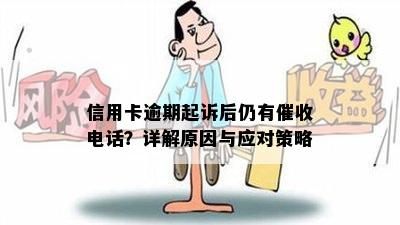 信用卡逾期起诉后仍有催收电话？详解原因与应对策略