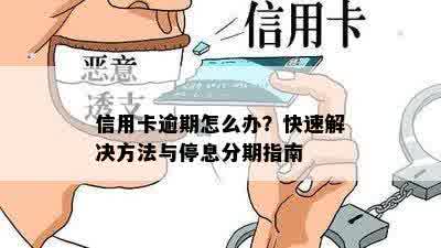 信用卡逾期怎么办？快速解决方法与停息分期指南