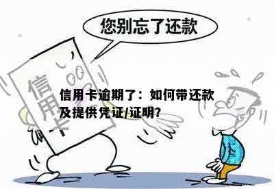 信用卡逾期了：如何带还款及提供凭证/证明？