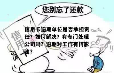 信用卡逾期单位是否承担责任？如何解决？有专门处理公司吗？逾期对工作有何影响？