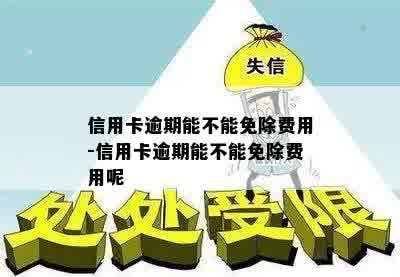 信用卡逾期能不能免除费用-信用卡逾期能不能免除费用呢