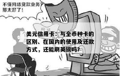 美元信用卡：与全币种卡的区别、在国内的使用及还款方式，还能刷英镑吗？