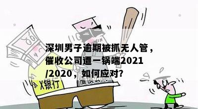 深圳男子逾期被抓无人管，催收公司遭一锅端2021/2020，如何应对？