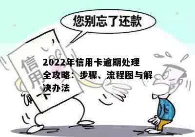 2022年信用卡逾期处理全攻略：步骤、流程图与解决办法