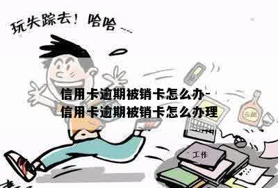 信用卡逾期被销卡怎么办-信用卡逾期被销卡怎么办理