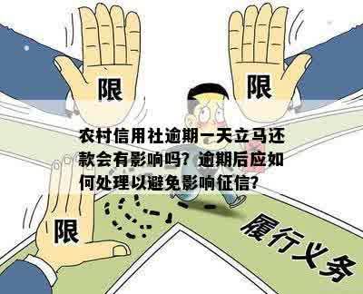 农村信用社逾期一天立马还款会有影响吗？逾期后应如何处理以避免影响征信？