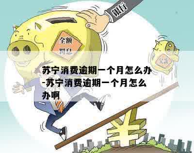 苏宁消费逾期一个月怎么办-苏宁消费逾期一个月怎么办啊