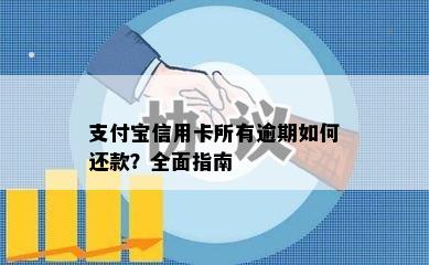 支付宝信用卡所有逾期如何还款？全面指南