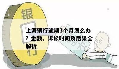 上海银行逾期3个月怎么办？金额、诉讼时间及后果全解析