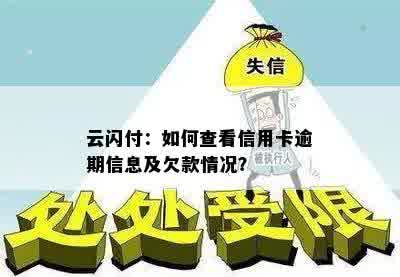 云闪付：如何查看信用卡逾期信息及欠款情况？