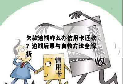 欠款逾期咋么办信用卡还款？逾期后果与自救方法全解析