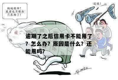 逾期了之后信用卡不能用了？怎么办？原因是什么？还能用吗？