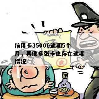 信用卡35000逾期5个月，其他多张卡也存在逾期情况