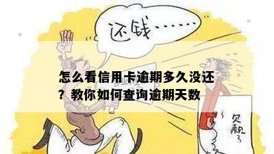 怎么看信用卡逾期多久没还？教你如何查询逾期天数