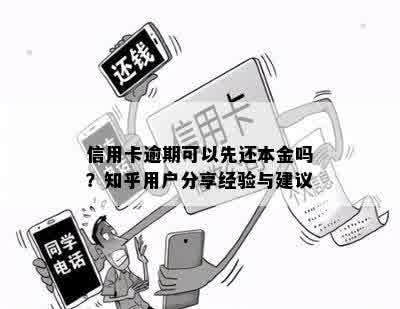 信用卡逾期可以先还本金吗？知乎用户分享经验与建议