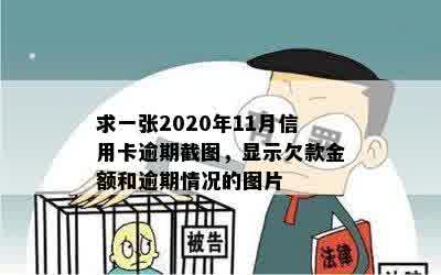 求一张2020年11月信用卡逾期截图，显示欠款金额和逾期情况的图片