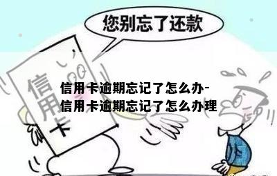 信用卡逾期忘记了怎么办-信用卡逾期忘记了怎么办理