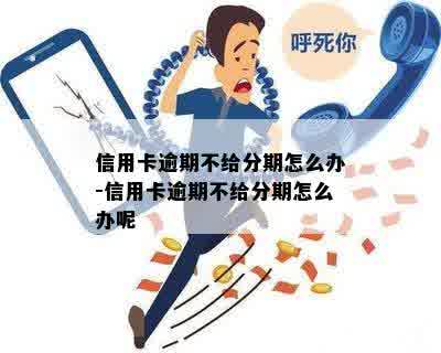 信用卡逾期不给分期怎么办-信用卡逾期不给分期怎么办呢