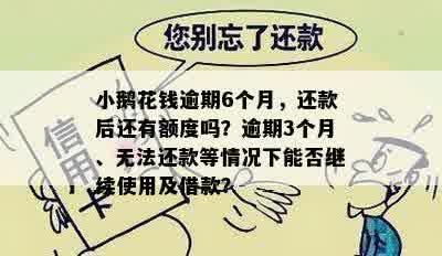 小鹅花钱逾期6个月，还款后还有额度吗？逾期3个月、无法还款等情况下能否继续使用及借款？