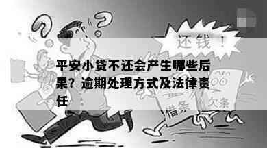 平安小贷不还会产生哪些后果？逾期处理方式及法律责任