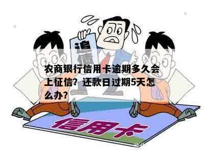 农商银行信用卡逾期多久会上征信？还款日过期5天怎么办？