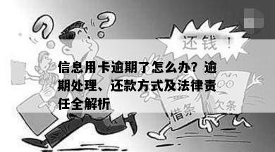 信息用卡逾期了怎么办？逾期处理、还款方式及法律责任全解析