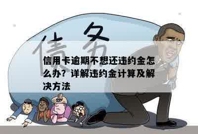 信用卡逾期不想还违约金怎么办？详解违约金计算及解决方法