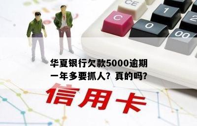 华夏银行欠款5000逾期一年多要抓人？真的吗？