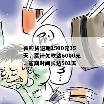 微粒贷逾期1500元35天，累计欠款达6000元，逾期时间长达501天