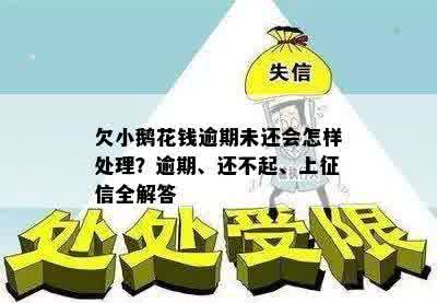 欠小鹅花钱逾期未还会怎样处理？逾期、还不起、上征信全解答