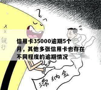 信用卡35000逾期5个月，其他多张信用卡也存在不同程度的逾期情况