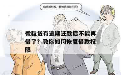 微粒贷有逾期还款后不能再借了？教你如何恢复借款权限