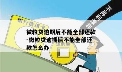 微粒贷逾期后不能全部还款-微粒贷逾期后不能全部还款怎么办