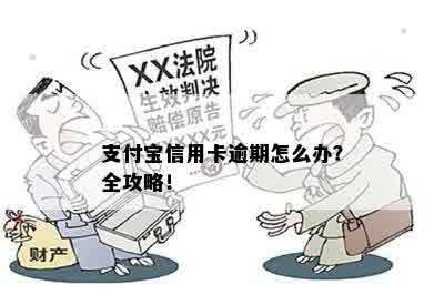 支付宝信用卡逾期怎么办？全攻略！