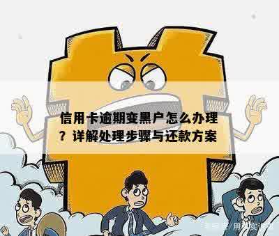 信用卡逾期变黑户怎么办理？详解处理步骤与还款方案