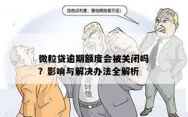 微粒贷逾期额度会被关闭吗？影响与解决办法全解析