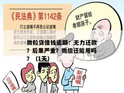 微粒贷借钱逾期：无力还款？后果严重？微信还能用吗？（1天）