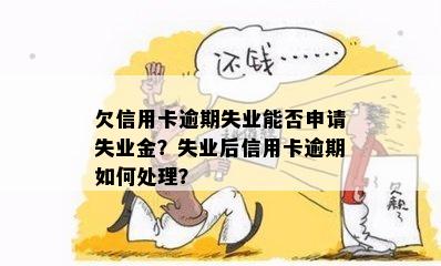 欠信用卡逾期失业能否申请失业金？失业后信用卡逾期如何处理？