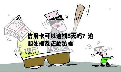 信用卡可以逾期5天吗？逾期处理及还款策略