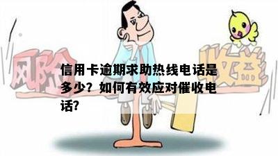 信用卡逾期求助热线电话是多少？如何有效应对催收电话？