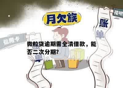 微粒贷逾期需全清借款，能否二次分期？