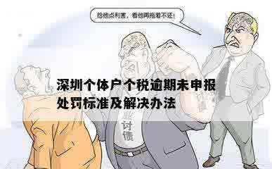 深圳个体户个税逾期未申报处罚标准及解决办法