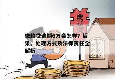 微粒贷逾期6万会怎样？后果、处理方式及法律责任全解析