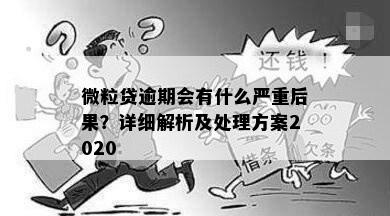 微粒贷逾期会有什么严重后果？详细解析及处理方案2020