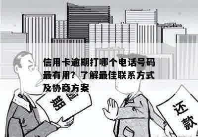 信用卡逾期打哪个电话号码最有用？了解更佳联系方式及协商方案