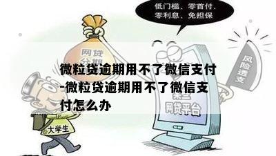 微粒贷逾期用不了微信支付-微粒贷逾期用不了微信支付怎么办