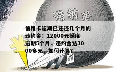 信用卡逾期已还还几个月的违约金：12000元额度逾期5个月，违约金达3000多元，如何计算？