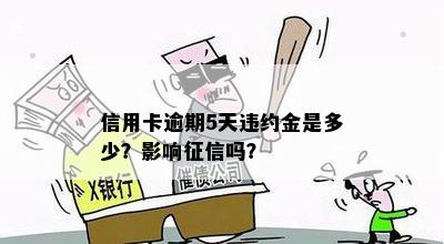 信用卡逾期5天违约金是多少？影响征信吗？