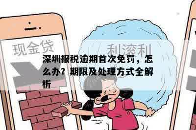 深圳报税逾期首次免罚，怎么办？期限及处理方式全解析